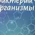 Биология 7 кл Пасечник 3 Бактерии доядерные организмы