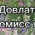 Аудиокнига Компромисс второй С Довлатов