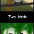 Two Birds