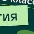 Понятие об обмене веществ Видеоурок 20 Биология 8 класс