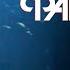 МИЛЕН ФАРМЕР 2019 в КИНО MyleneFarmer2019LeFilm MyleneFarmer2019TheMovie