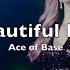 Ace Of Base Beautiful Life Cover By New York SkyRun Band