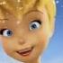 Disney Fairies Zauberhafte Abenteuer Auf DISNEY JUNIOR