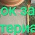 Правильный замес Порядок засыпки материалов в бетономешалку замес без комков и лишней воды