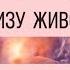 Сильнейшая медитация от НОЮЩЕЙ БОЛИ ВНИЗУ ЖИВОТА психосоматика TREATMENT For ABDOMINAL PAIN