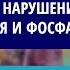 Профессор Лебединский К М Физиология и нарушения баланса калия кальция и фосфатов