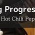 Red Hot Chili Peppers Long Progression Bass Cover 弾いてみた TAB