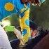 All Three Legs Of American Pharoah S 2015 Triple Crown Win NBC Sports