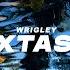 Extasy Extended Mix