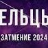 ТЕЛЬЦЫ ЗАТМЕНИЕ СЕНТЯБРЬ 2024 ВЕЛИКОЕ ПРОБУЖДЕНИЕ