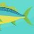Alphabet Sea Animals Zoo Song Shorts Nurseryrhymes Kids Kidssongs Kid Child Lullaby Baby