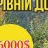 БУДИНОЧОК В РАЙСЬКОМУ МІСЦІ ПРИКАРПАТТЯ