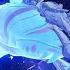 Genshin Impact All Devouring Narwhal Boss Fight Guide How To Unlock And Fight