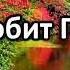 Кто любит Господа Прославим Бога Караоке с голосом Христианские песни Гимны надежды АСД