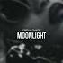 MOONLIGHT Nightdrive Deephouse Slaphouse Dance Carmusic Playlist