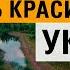 УКРАИНА красивые места Витачев Стайки Ржищев велопутешествие съемка с квадрокоптера