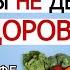 Ошибка выжившего в медицине Польза овощей фруктов клетчатки кофе спорта СОМНИТЕЛЬНАЯ ЗОЖ