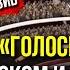 Эмиль Кадыров Певец Гитарист Бизнесмен Интервью BAKU TV RU Baku TV RU