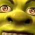 What Are You Doing In My Swamp