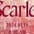 DAZBEE ダズビー Scarlet M V Teaser