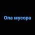 опа мусора