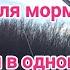 Рыбалка на мормышинг Рыбалка на поплавок Лайфхак рыбака Рыболовный лайфхак Рыбалка 2024