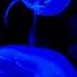 Jellyfish 4K Video For Spa W Meditation Music For Relaxing Sleeping Stress Relief Massage