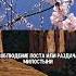 хадисы пророка мухаммада хадисы напоминание намаз благиезнамения религия ислам аяты коран