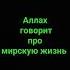 Аллах сказал в Коране напоминания ислам Религия иман
