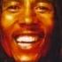 Bob Marley Positive Vibration