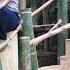 Eric And Single Mother Ly Thi Diep Build A Beautiful Love Bridge