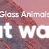 Glass Animals Heat Waves Lyrics