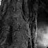 Beluga Lagoon The Tombs O The Faeries Full Album Premiere