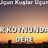 Ahmet Kaya Uçun Kuşlar Uçun Sözleri 4K