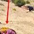 Bahram S Opposition To His Sister Fereshte S Marriage To A Policeman In Zahra S Nomadic Family