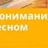 2 октября 2024 Правильное понимание истины о небесном святилище Возвращение домой Адвентисты