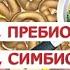 Пробиотики пребиотики синбиотики симбиотики лекарство в продуктах питания