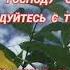 Служите Господу со страхом и радуйтесь с трепетом Псалом 2 11