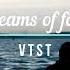 V T S T Dreams Of Fate