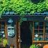 Ghibli Coffee Shop Music To Put You In A Better Mood Lofi Hip Hop Lofi Songs Study Relax