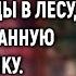 Незаслуженно уволенная акушерка собирая ягоды в лесу нашла странную корзинку Заглянув в нее