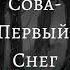 Сова Первый Снег