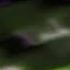Klasky Csupo Color Effects Exo 5