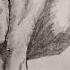 Rule Pencil Drawing