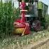 Corn Harvest Machine