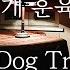 SUB 남자 ASMR 더러운 개 훈육시키기 Pt 1 Dirty Dog Training 女性向け Korean Boyfriend ASMR