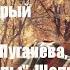 Генеалогия музей Старый Уральскъ восстание Пугачева Иванов Вилы Щепихин С А Выпуск 63