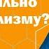 КАК ПРАВИЛЬНО СТАВИТЬ КЛИЗМУ ШКОЛА ЗДОРОВЬЯ и доктор Божьев