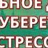 ИЗБАВЬТЕСЬ ОТ ПАНИКИ И СТРЕССА ИН ША АЛЛАХ