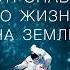 Руководство астронавта по жизни на Земле Чему научили меня 4000 часов на орбите